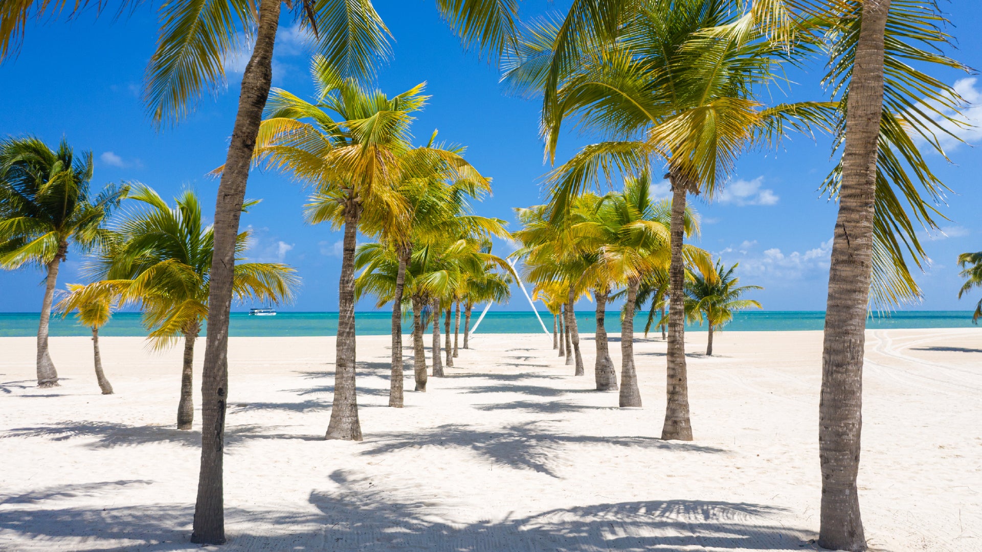 A picturesque tropical beach scene with a sandy pathway lined by tall, lush palm trees leading to the turquoise ocean. The clear blue sky is dotted with a few wispy clouds, and a small boat floats in the distance. The sunlight casts soft shadows on the white sand, enhancing the serene and inviting atmosphere of this paradise-like destination.