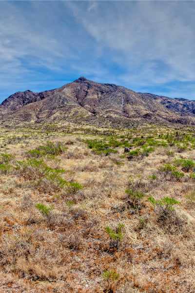 Arid mountainous landscape with sparse vegetation, dry grass, and small shrubs under a clear blue sky with wispy clouds.