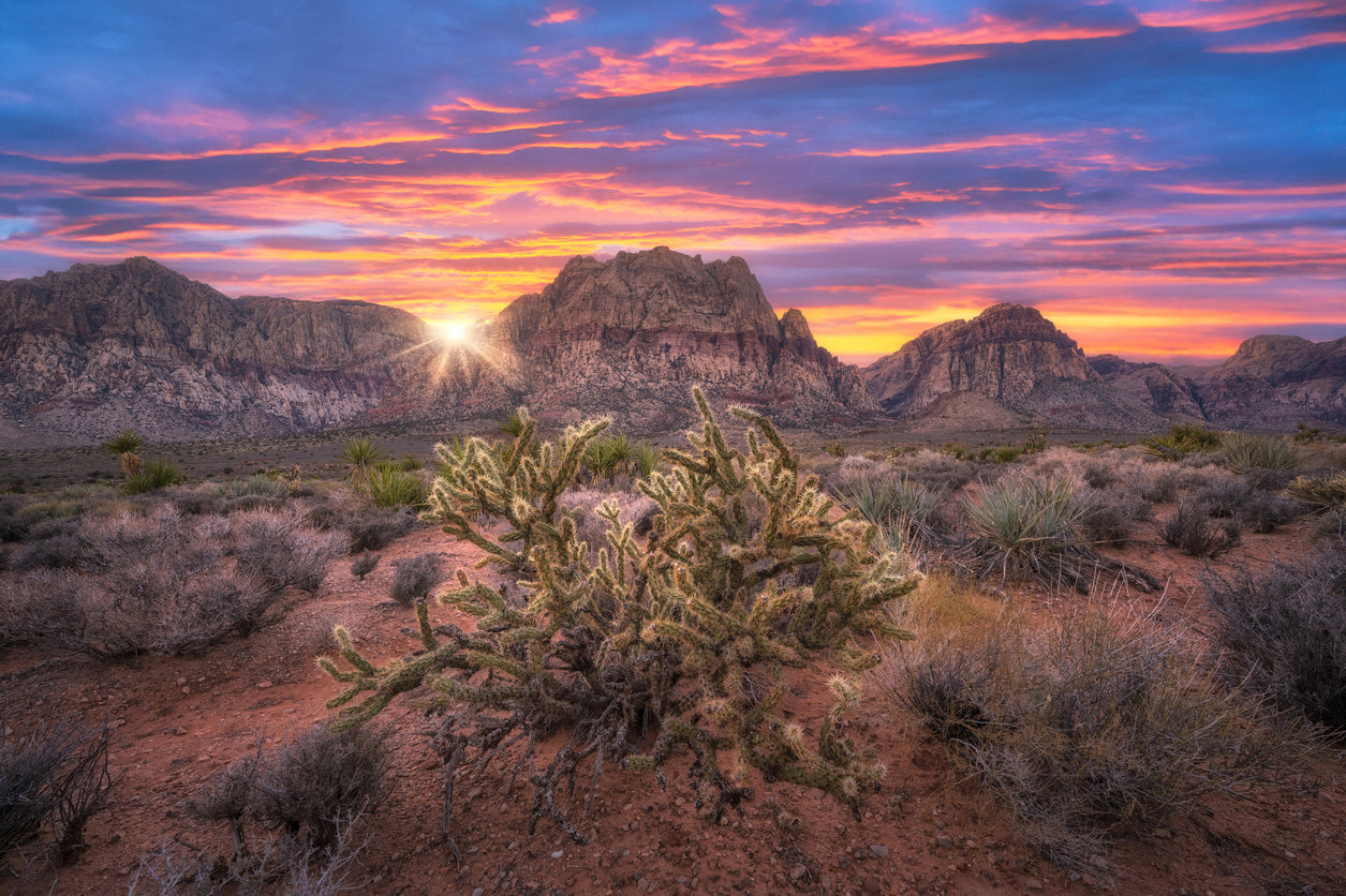 A stunning desert landscape at sunset, featuring a cholla cactus in the foreground with its spiny branches illuminated by the fading light. The rugged mountains in the background stretch across the horizon, bathed in warm hues of orange, pink, and purple. The sun peeks just above the peaks, casting a golden glow over the arid terrain. The sky is a breathtaking mix of vibrant colors, contrasting beautifully with the earthy tones of the desert floor.