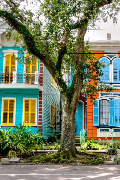 This image shows two brightly colored, historic-style houses with a large tree in front. The house on the left is painted turquoise with yellow shutters, and the house on the right is orange with blue shutters. The tree, lush greenery, and colorful facades give the scene a lively and distinctive Southern charm.