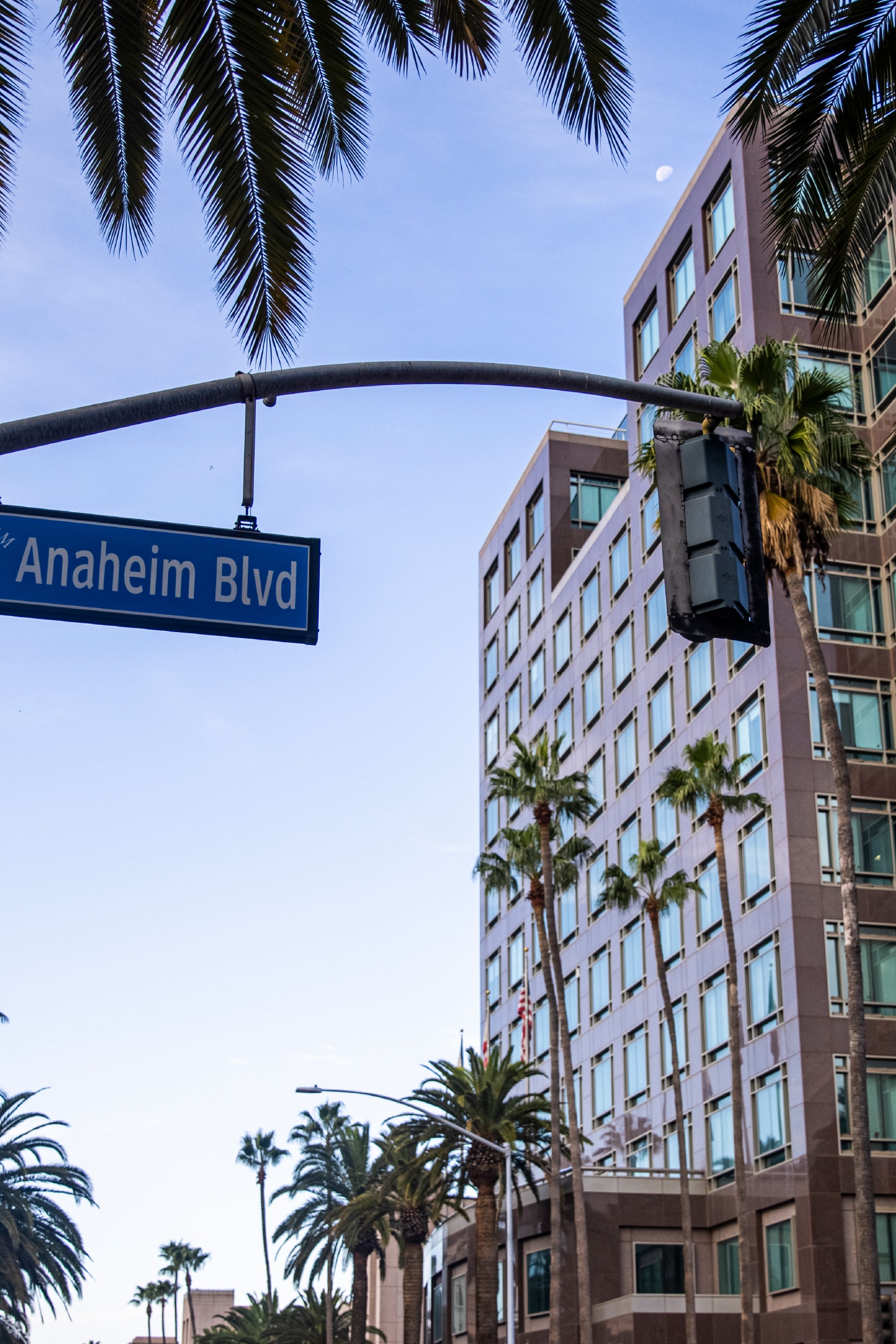 A city street scene featuring a sign for Anaheim Boulevard suspended from a traffic light pole. Tall palm trees line the street, and a modern high-rise building with many windows stands prominently in the background. The sky is clear with a hint of the moon visible, giving the scene a calm, late afternoon or early evening ambiance.