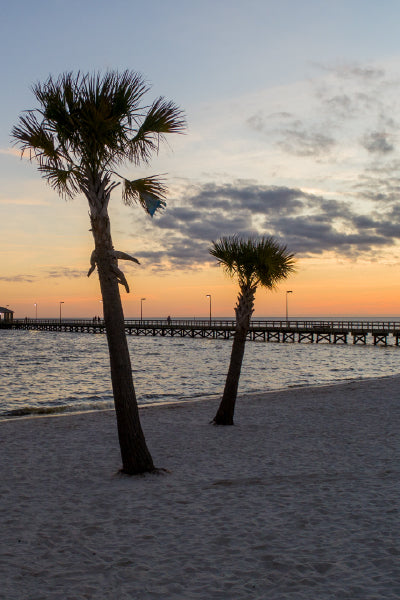 A serene beach scene at sunset with two palm trees in the foreground and a wooden pier extending into calm water under a partly cloudy sky.