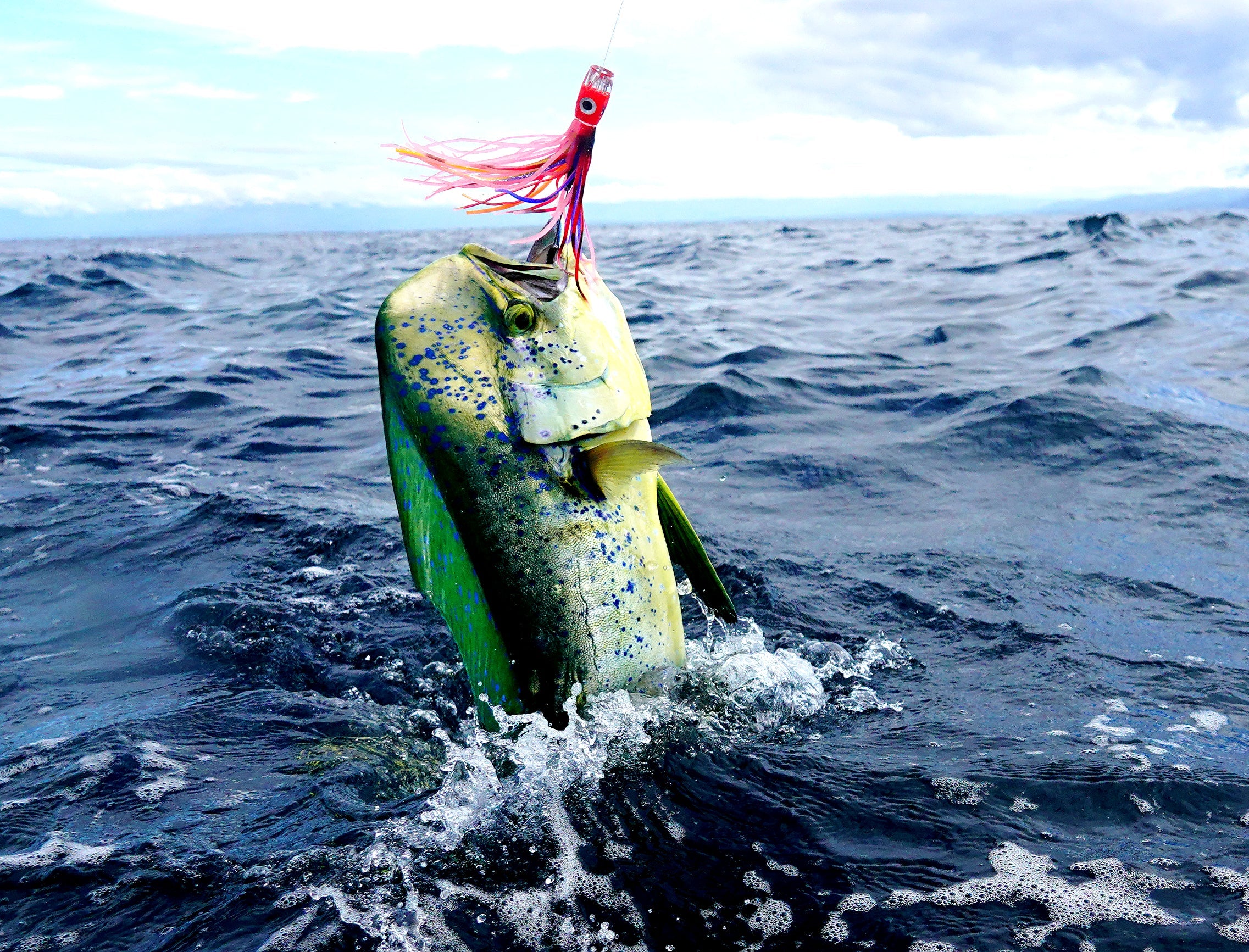 A vibrant mahi-mahi (dorado) is captured mid-leap out of the deep blue ocean, hooked on a bright pink and red trolling lure. The fish's shimmering green and yellow scales contrast against the dark waves, with water splashing around as it struggles. In the background, the horizon and a cloudy sky are visible, adding depth to the dynamic fishing scene.