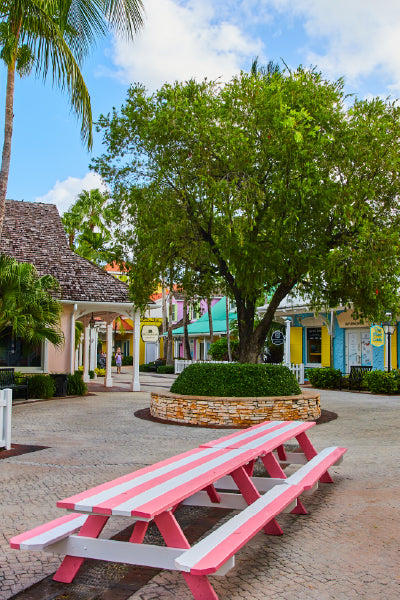 A colorful outdoor plaza featuring a pink and white picnic table in the foreground. The area is paved with stone and surrounded by pastel-colored buildings with vibrant awnings. A large green tree stands in the center, providing shade, while palm trees and lush greenery add to the tropical atmosphere. The setting appears to be a charming shopping or dining district with a relaxed, inviting ambiance.