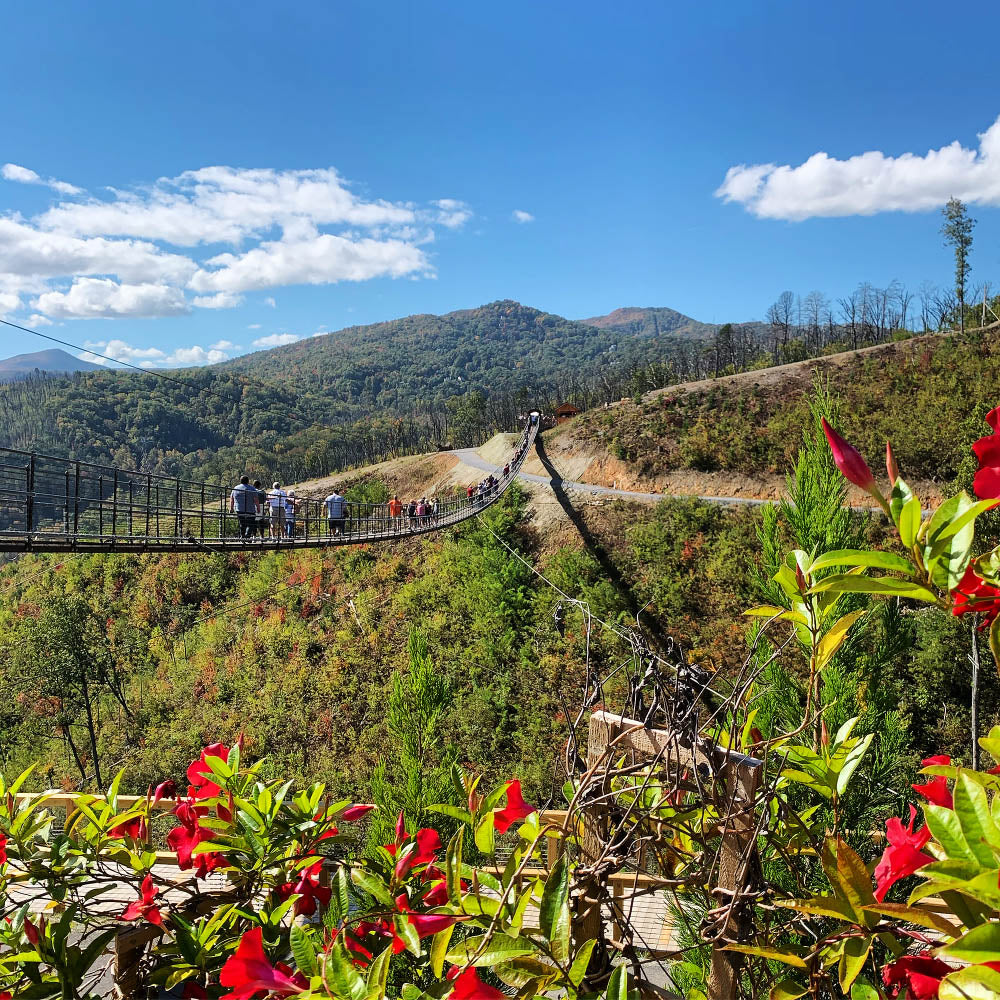 A scenic suspension bridge stretches across a lush green valley, with visitors walking along it and admiring the breathtaking mountain views. The foreground features vibrant red flowers and greenery, adding a pop of color to the natural landscape. The background showcases rolling mountains under a bright blue sky with fluffy white clouds, creating a picturesque and adventurous atmosphere.