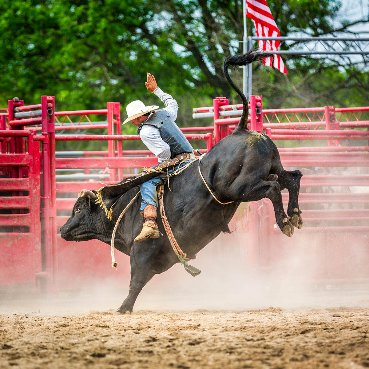 A rodeo cowboy in a white hat and denim vest rides a powerful black bull mid-buck, gripping tightly as the bull kicks up dust. The red metal fencing of the arena and an American flag waving in the background frame the intense moment of action.