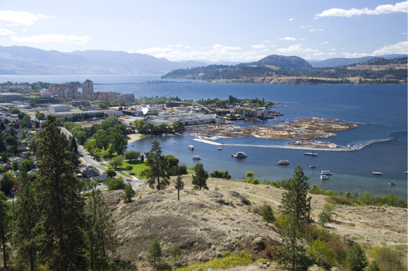 A panoramic view overlooking a lakeside town with a mix of residential and commercial buildings, a marina with boats, and a log boom floating on the water. The scene is framed by rolling hills and mountains in the background, with a clear blue sky and scattered clouds. The foreground features dry, rocky terrain with scattered pine trees, contrasting with the lush greenery along the shoreline.