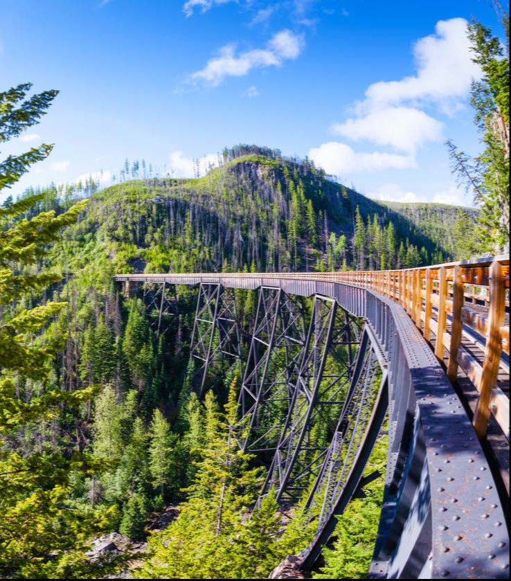 A scenic view of a trestle bridge stretching across a lush, forested valley. The bridge’s sturdy steel supports rise above a dense collection of evergreen trees, with rolling green hills and a bright blue sky in the background. Sunlight filters through the foliage, casting a warm glow over the landscape. The bridge features a wooden walkway with a handrail, inviting exploration.