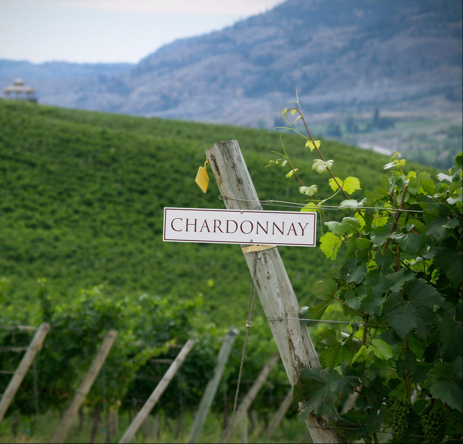 A vineyard scene with a wooden post holding a sign that reads "CHARDONNAY." Lush green grapevines surround the sign, with rolling hills and a distant structure visible in the background. The setting appears serene, with rows of vines stretching across the landscape.