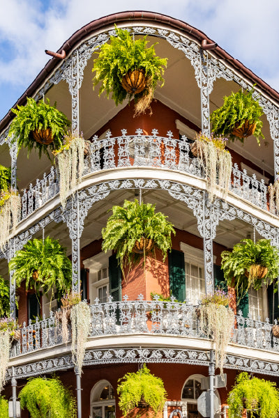A historic brick building with ornate wrought-iron balconies is adorned with lush hanging ferns and cascading greenery. The structure features two levels of wraparound balconies with intricate white railings and decorative columns, set against a bright blue sky with scattered clouds.