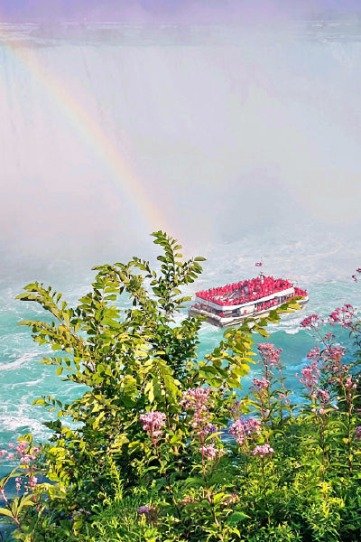 A tour boat filled with passengers in red ponchos approaches the base of a massive waterfall, surrounded by mist and a faint rainbow. Lush green foliage and pink wildflowers frame the foreground, adding vibrant color to the scene.