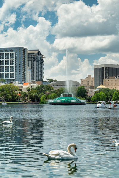 A scenic lake with swans gliding on the water, a prominent fountain spraying water in the center, and a backdrop of urban buildings and greenery under a partly cloudy sky