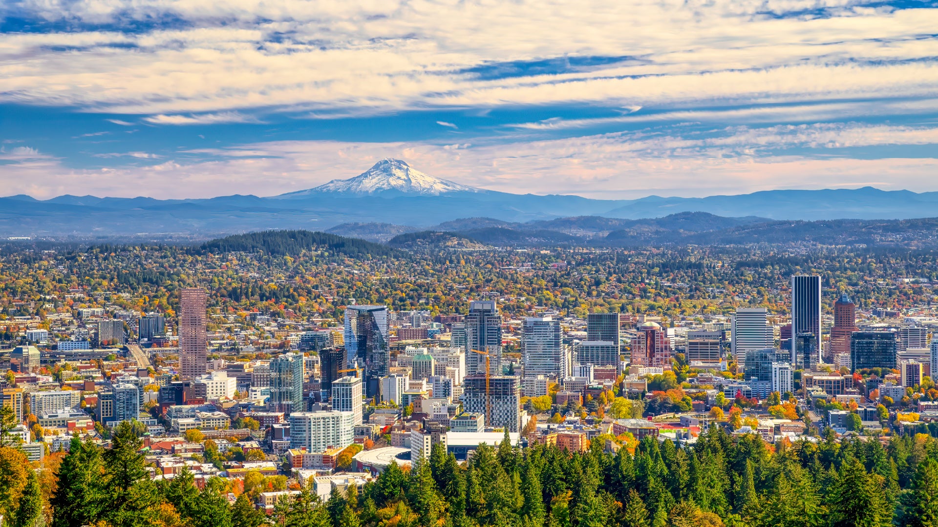 A stunning panoramic view of Portland, Oregon, featuring the city's skyline with a mix of modern high-rises and historic buildings. The scene is framed by lush green trees in the foreground and vibrant autumn foliage scattered throughout the city. In the background, the snow-capped peak of Mount Hood rises majestically, with layers of rolling hills and a soft blue sky filled with wispy clouds stretching above. The image captures the beauty of Portland's urban landscape harmonized with its natural surroundin