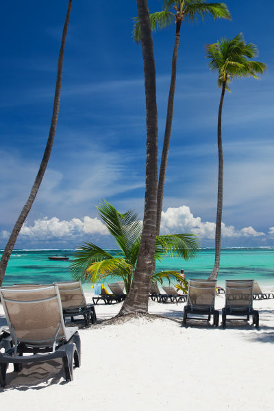 Sunny tropical beach scene with several empty lounge chairs arranged on white sand, tall palm trees swaying, turquoise ocean waters, and a partly cloudy blue sky in the background.