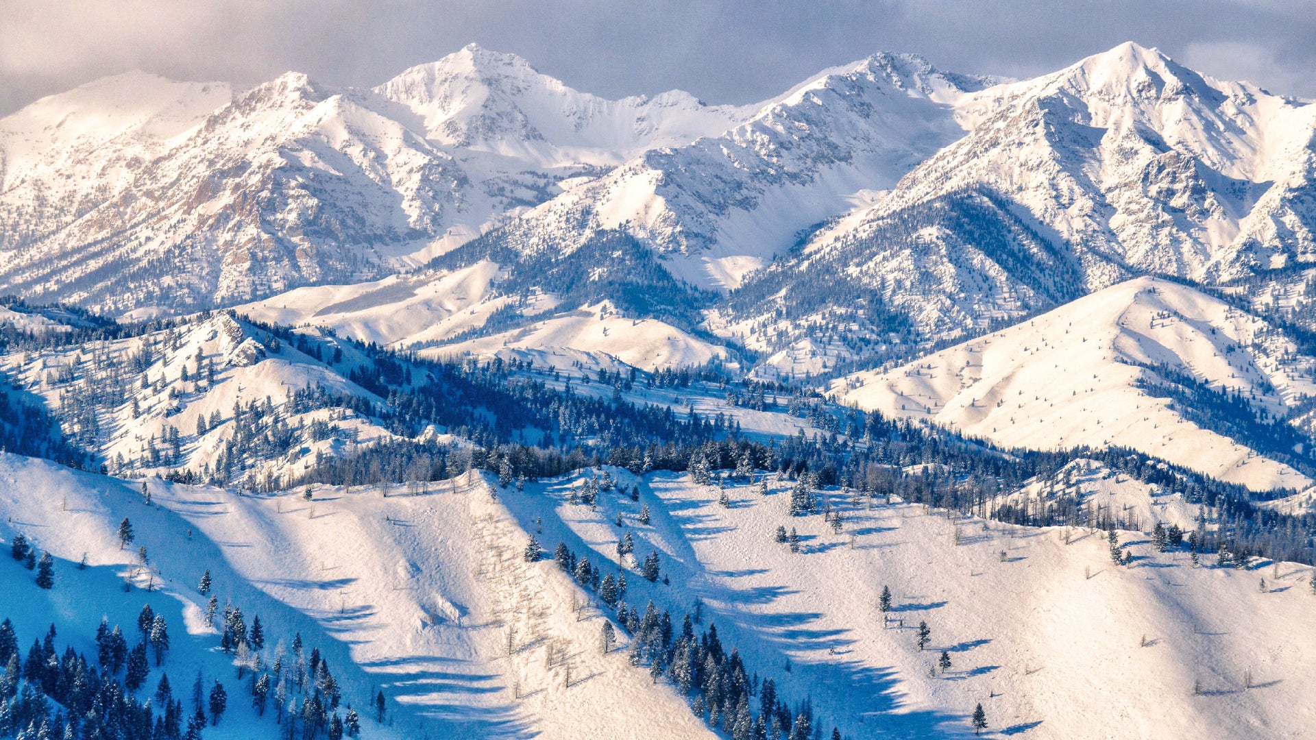 A breathtaking winter landscape featuring a vast expanse of snow-covered mountains and rolling hills. The sunlight casts long shadows from scattered evergreen trees, creating a striking contrast against the white terrain. Towering peaks with rugged, snow-capped summits dominate the background, while the slopes are dotted with trees adding texture to the serene, icy wilderness.