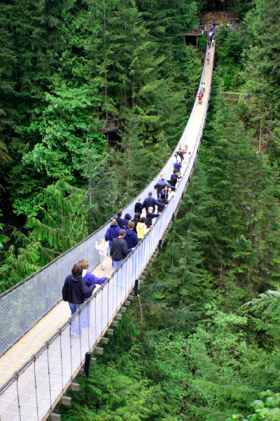 A long suspension bridge surrounded by dense green forest, with many people walking across it. The bridge is narrow and elevated high above the trees below.